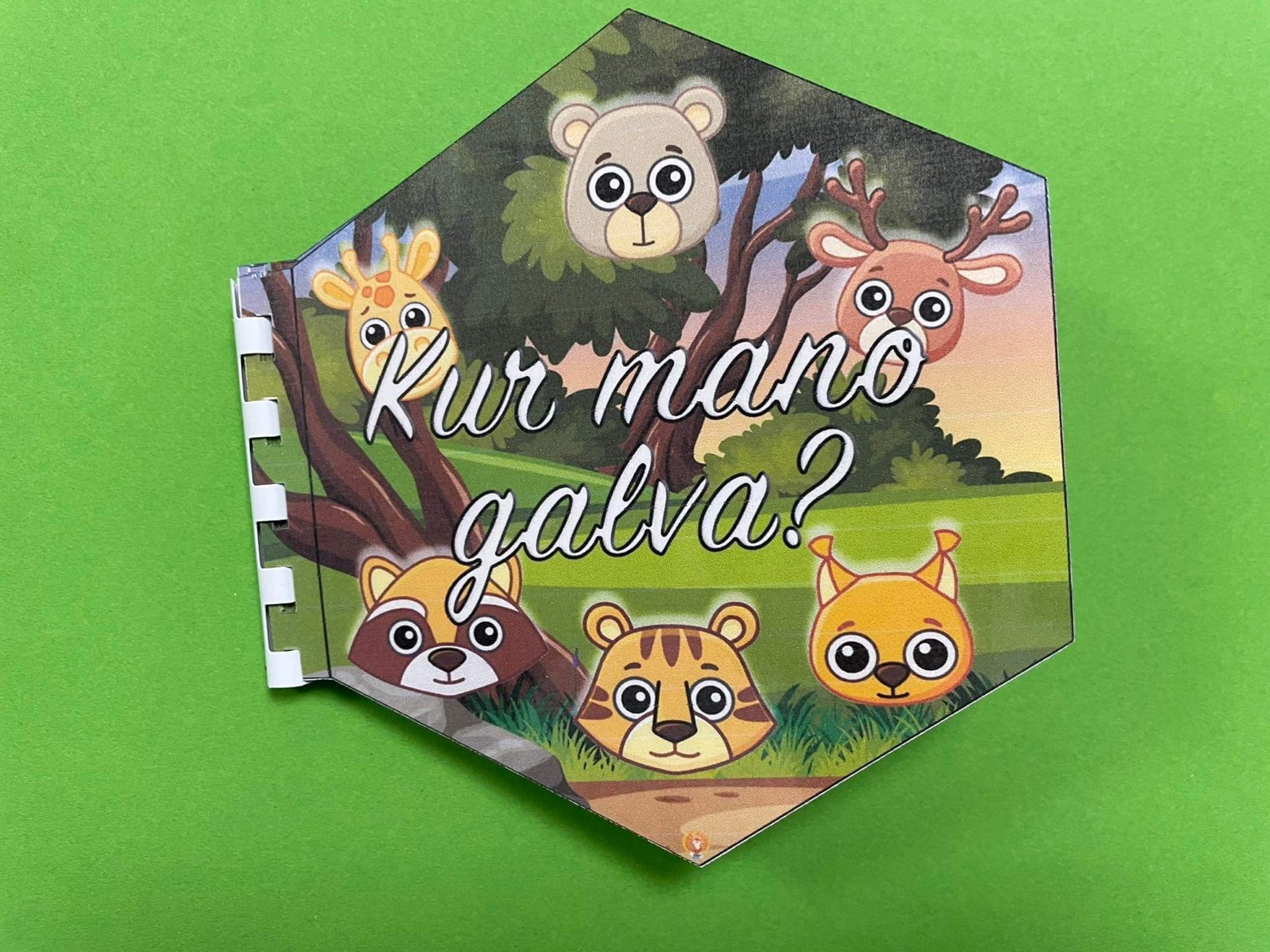 Lavinamoji knygelė - kur mano galva?